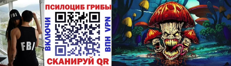 Галлюциногенные грибы прущие грибы  цены наркотик  Купино 